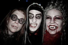 Bremer Karneval 2011 bis 2014